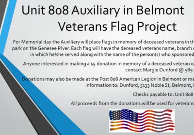 Unit 808 Auxiliary Veterans Flag Project