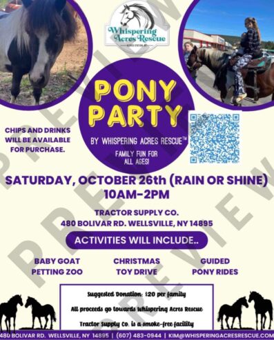 Pony Party