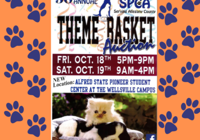 SPCA-30th-Anniversary-Theme-Basket-FB-Post